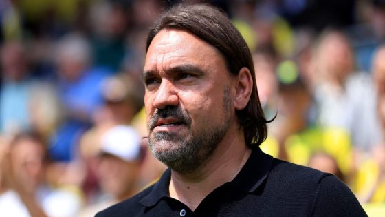 The international break may do Daniel Farke and Leeds some good