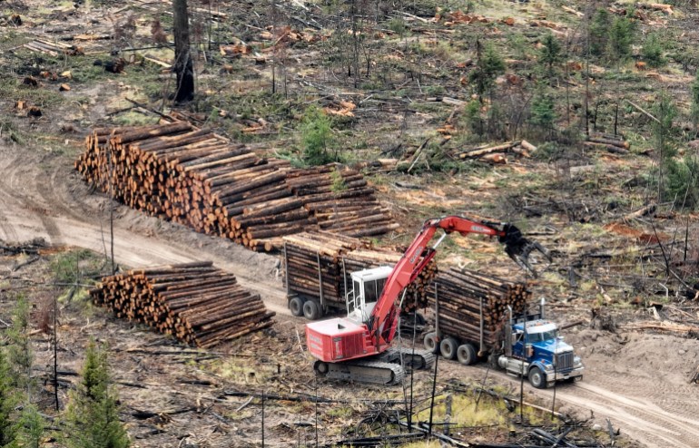 A drone view shows a logging truck loaded in a clearcut forest block east of Young Lake, British Columbia, Canada, September 5, 2023