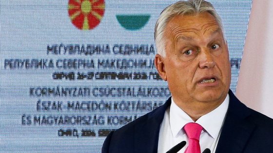 Zelenskyy slams Orban over call with Russia’s Putin to discuss Ukraine | Russia-Ukraine war News