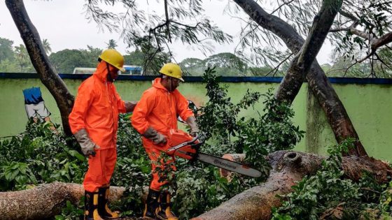 Flood risk as Cyclone Dana hits India, uprooting power lines and trees | Weather News