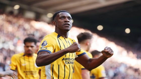 Brighton & Hove Albion's Danny Welbeck a doubt for Wolves game