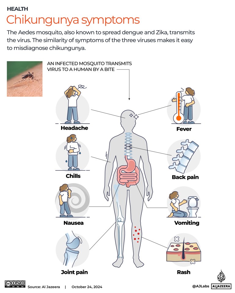 Interactive_Chikungunya_October24_2024-symptoms