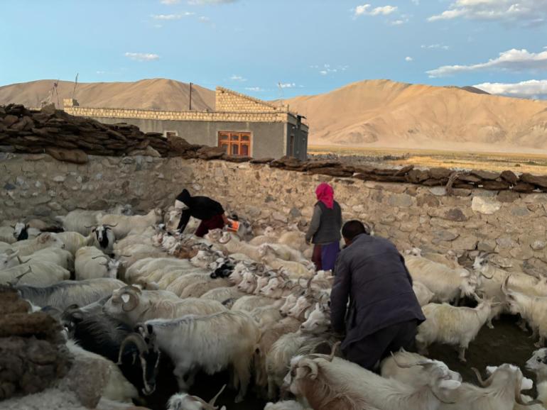 Ladakh