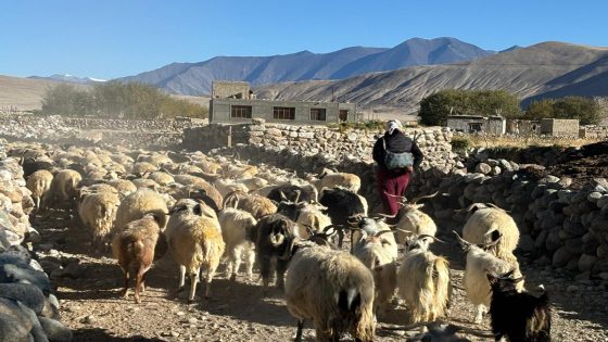 Caught in India-China clashes, Ladakh’s nomadic herders fear for future | Politics