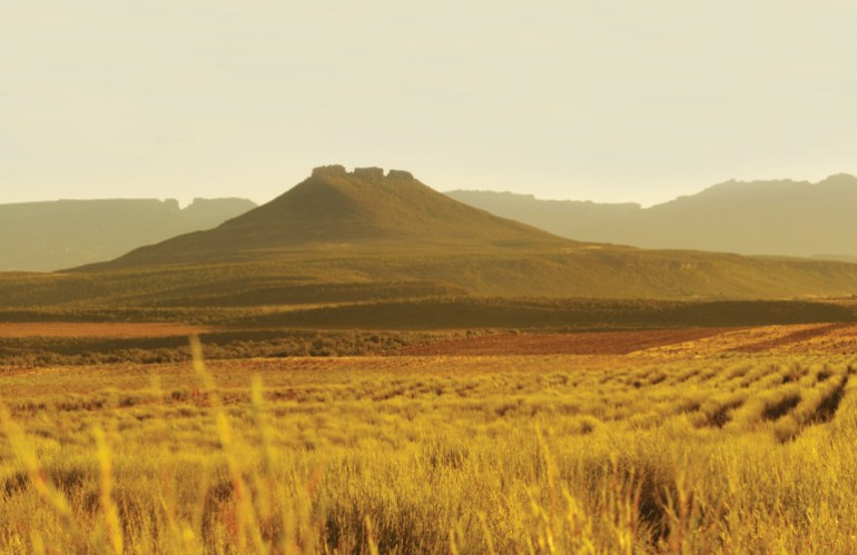 The tealands of the Cederberg Mountains in South Africa [Courtesy of Red Espresso]