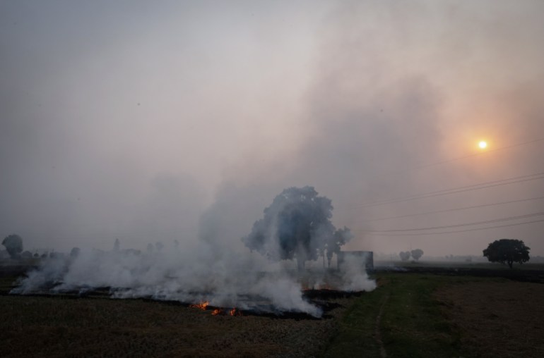 Smoke rises from the burning stubble in a rice field at a village in Karnal in the northern state of Haryana, India, October 21, 2024. REUTERS/Bhawika Chhabra