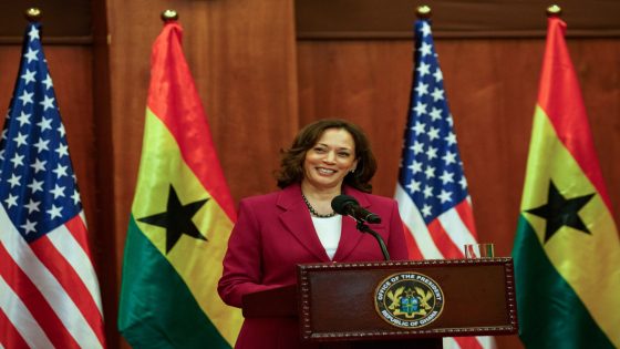 Africa needs a true, progressive partner in the White House | US Election 2024