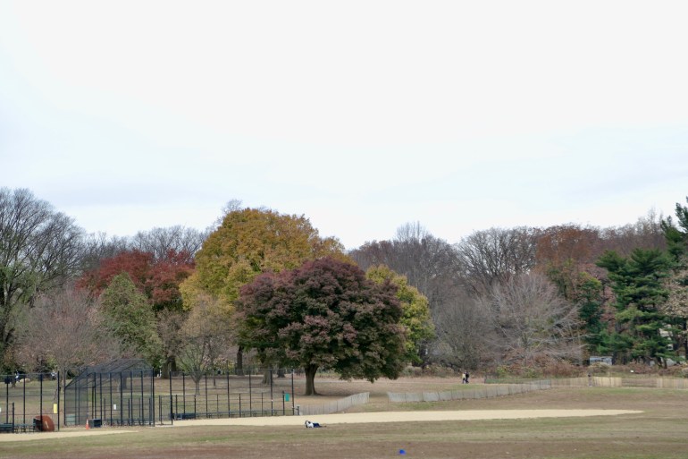 Prospect Park brush fire