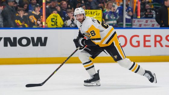 Is Penguins defender Marcus Pettersson a trade fit for the Canucks?