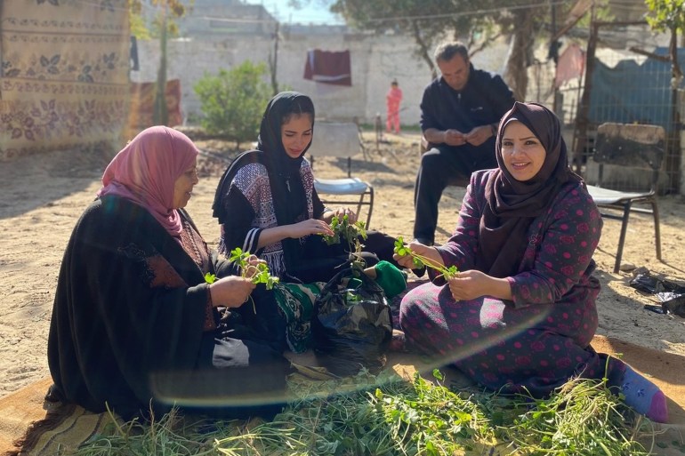 Three women sitting on the ground, going through greens for cooking