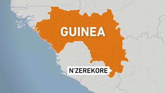 Dozens feared dead after stampede breaks out at Guinea football match | Football News