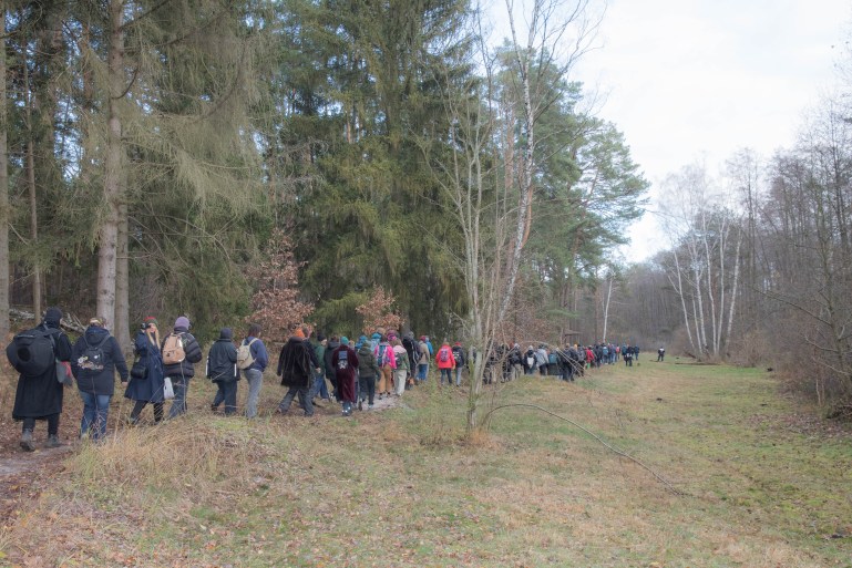 Tesla forest