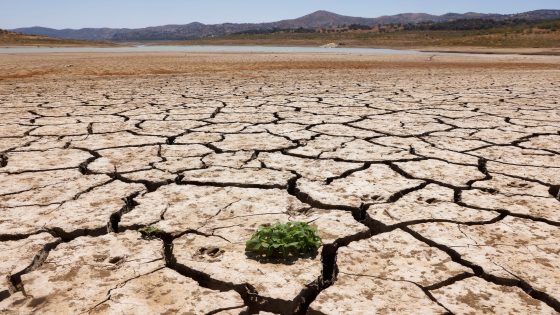 Saudi-hosted UN talks fail to produce deal to tackle global drought | Drought News