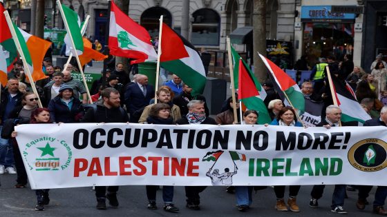 Israel to close embassy in Ireland after Dublin backs Gaza genocide case | Israel-Palestine conflict News