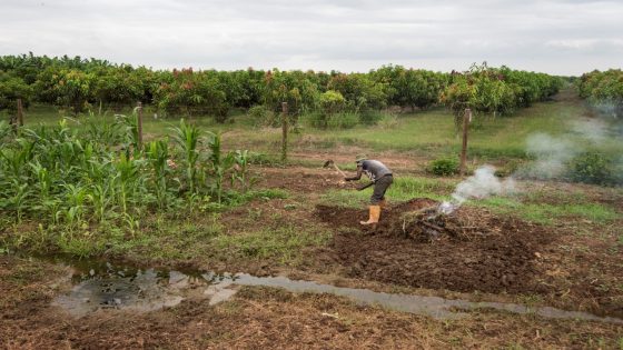 Angola’s path to prosperity lies in its sun and soil, not its oil | Opinions