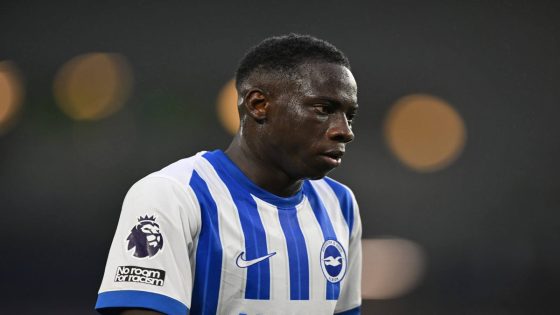 Yankuba Minteh's return from injury comes at the perfect moment for Brighton