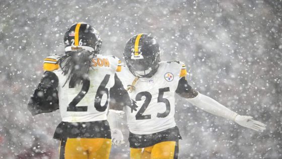 Steelers' struggles on defense highlight the value of unsung heroes