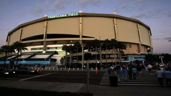 Pinellas County votes to approve funding for new Rays stadium, now up to team to move forward