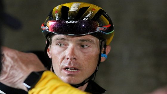 Australian cyclist Rohan Dennis pleads guilty to charge relating to death of Olympian wife Melissa Hoskins