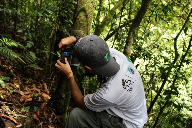 The wildlife organisation WCS has placed cameras on the farmers_ land to monitor the presence of spectacled bears CREDIT WCS